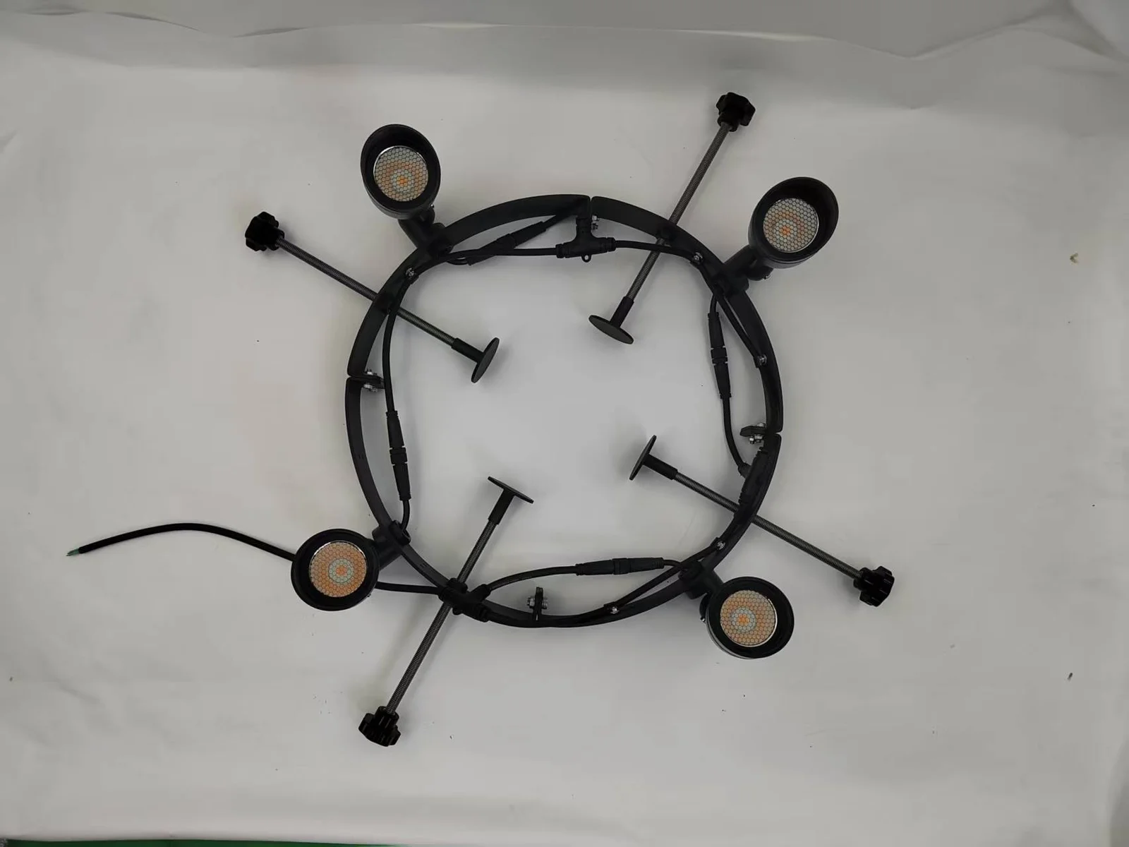 Palm Tree LED Ring Light with 4 Spotlights