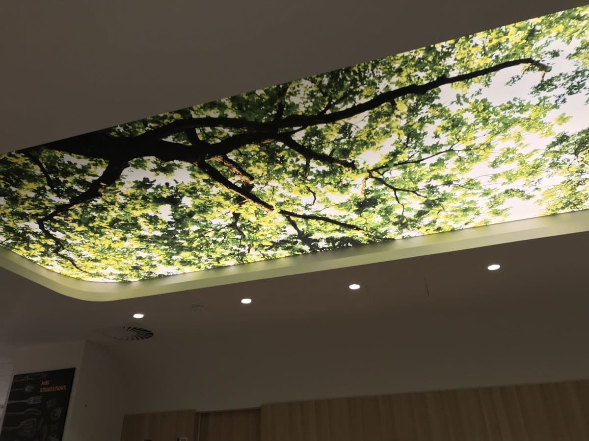 How to Order and Install a Custom Printed Stretch Ceiling in Pakistan